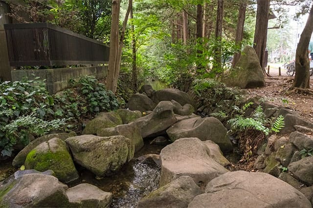 井の頭恩賜公園をぐるり一周散歩！歩いて見つけた注目スポットをご紹介