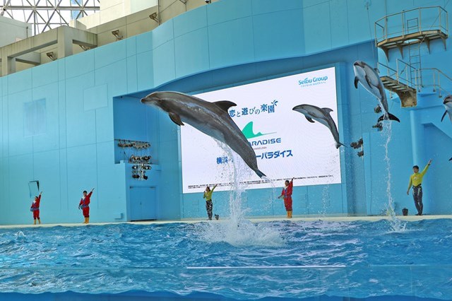 【徹底取材】横浜・八景島シーパラダイスの魅力！デートやファミリーなど様々な楽しみ方を紹介！