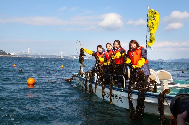 わかめ獲ったぞー！鳴門わかめの収穫・加工・試食まで体験できる名物ご当地イベントが開催！