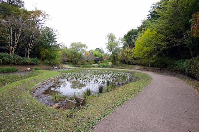 ふなばしアンデルセン公園の人気の秘密とイチ推しスポットを徹底解剖！グルメスポットや人気のお土産もご紹介