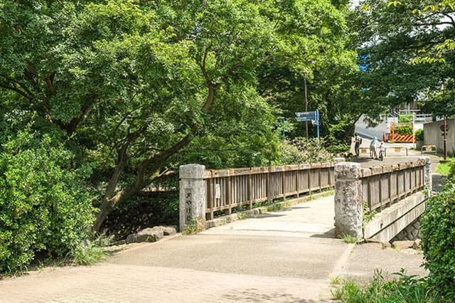 井の頭恩賜公園をぐるり一周散歩！歩いて見つけた注目スポットをご紹介