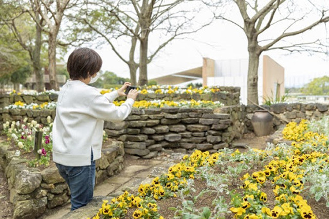 【写真映えスポットもいっぱい】四季折々の花が咲き誇る！浜名湖ガーデンパークを徹底レポート