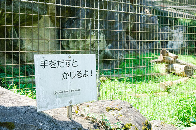 多摩動物公園で会えてよかった15種の動物たち