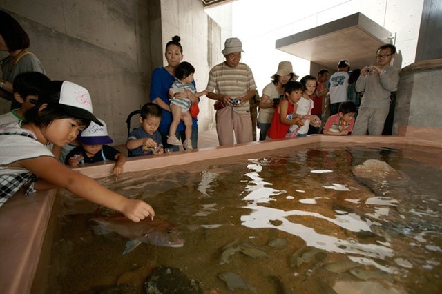 九十九島水族館海きらら地域密着型水族館を徹底紹介！