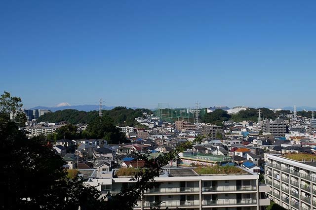 入園料無料が嬉しい！「夢見ヶ崎動物公園」の見どころやアクセス方法を徹底解説