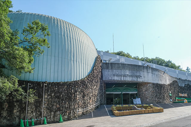 多摩動物公園で会えてよかった15種の動物たち