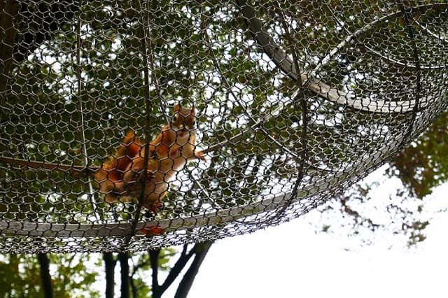 入園料無料が嬉しい！「夢見ヶ崎動物公園」の見どころやアクセス方法を徹底解説