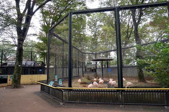 入園料無料が嬉しい！「夢見ヶ崎動物公園」の見どころやアクセス方法を徹底解説