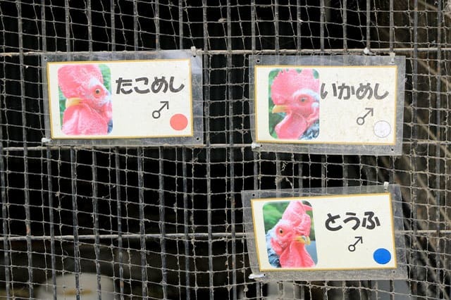 子どもの遊び場の宝庫！こども自然公園の見どころを徹底レポート