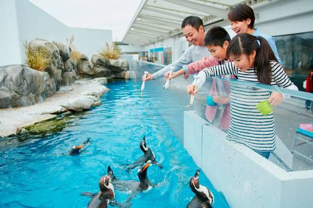 目の前に広がる海の世界は驚きと感動の連続！仙台うみの杜水族館の魅力を徹底レポ