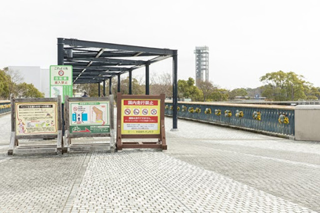 【写真映えスポットもいっぱい】四季折々の花が咲き誇る！浜名湖ガーデンパークを徹底レポート