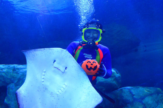 海の筋肉自慢たちが水族館に集結！“スポーツの秋”を盛り上げるマッスルハロウィンで生きものの知られざる生態を見に行こう【東京】