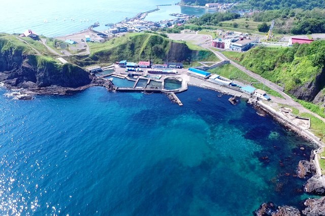 北海道 水族館 5選！観光にオススメの人気水族館