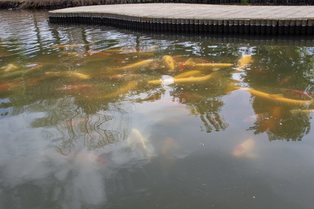 【徹底取材】さいたま水族館の魅力解説！ アクセスから周辺の観光地情報まで