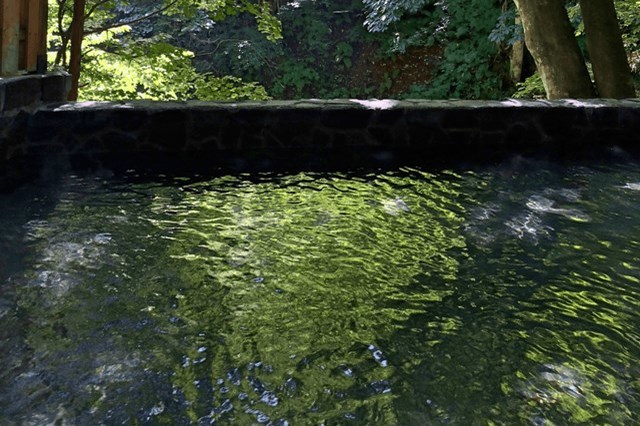 【おすすめ9選】水上（みなかみ）の日帰り温泉まとめ！天然温泉から貸切部屋のある温泉まで