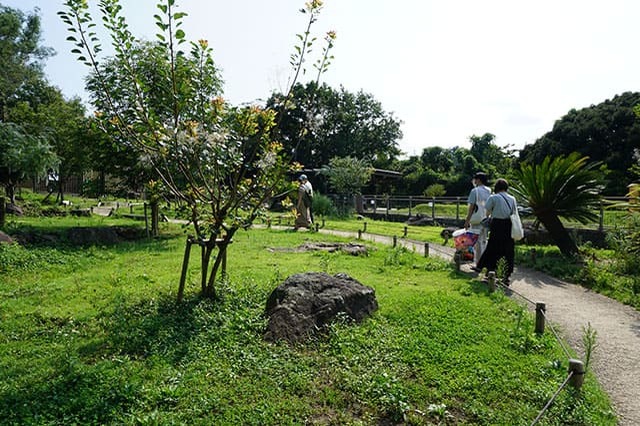 ここでしか見られない希少動物の宝庫！ 横浜「金沢動物園」を徹底解説