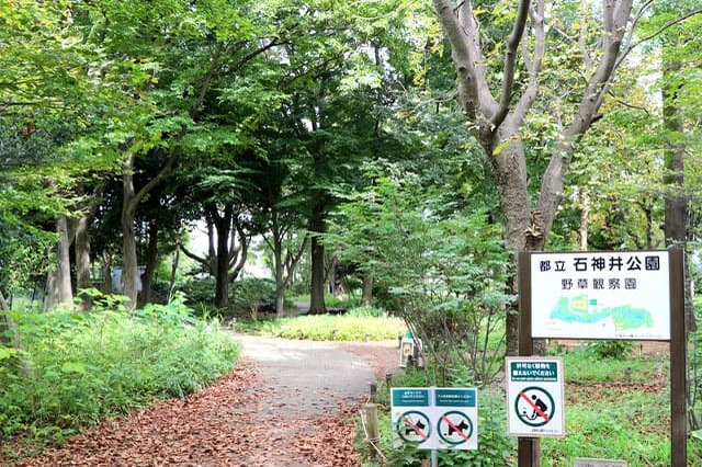 武蔵野の自然が残る石神井公園を散策！石神井池・三宝寺池の周辺見どころを紹介