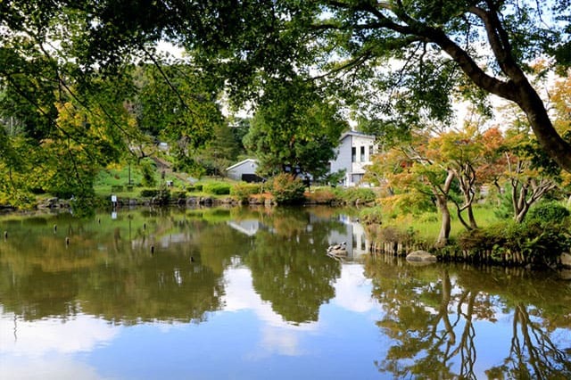 子どもの遊び場の宝庫！こども自然公園の見どころを徹底レポート