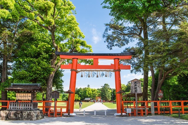 京都の神社・仏閣、おさえておきたい大定番20スポット。