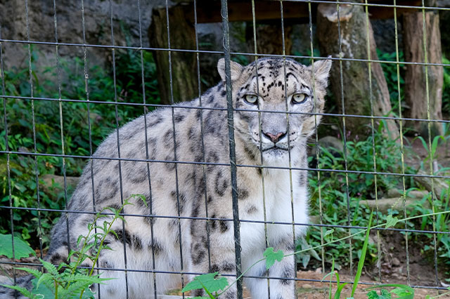 多摩動物公園で会えてよかった15種の動物たち