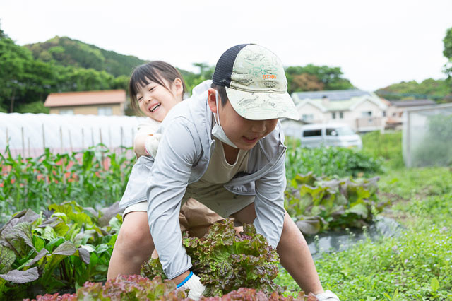 土づくり・収穫・調理までぜーんぶ体験！福岡の博多南自然体験ファームでもっと野菜が好きになる