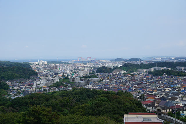 ここでしか見られない希少動物の宝庫！ 横浜「金沢動物園」を徹底解説