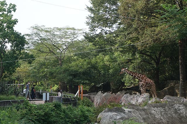 ここでしか見られない希少動物の宝庫！ 横浜「金沢動物園」を徹底解説