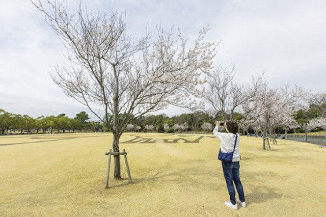 【写真映えスポットもいっぱい】四季折々の花が咲き誇る！浜名湖ガーデンパークを徹底レポート