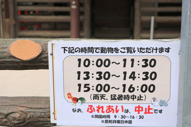 子どもの遊び場の宝庫！こども自然公園の見どころを徹底レポート