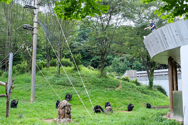 多摩動物公園で会えてよかった15種の動物たち