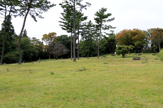 子どもの遊び場の宝庫！こども自然公園の見どころを徹底レポート