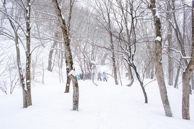 【体験記事】群馬・みなかみの雪山をハイキング！みんなで楽しめるスノーシュー体験！