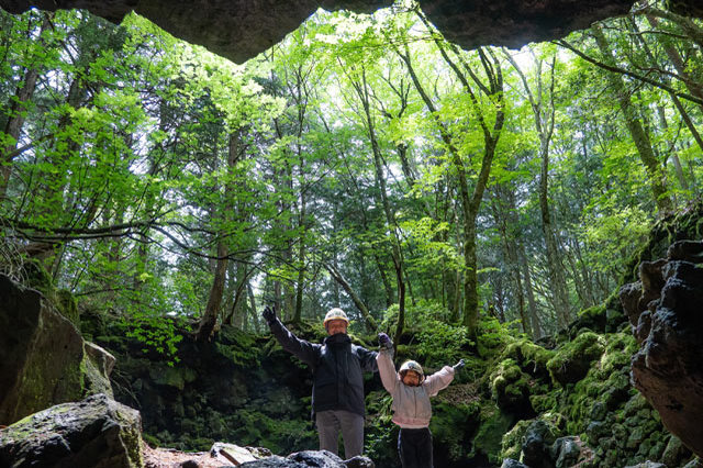 鬱蒼とした樹海と真っ暗な洞窟を探検！命が芽生え、時が育む自然には発見がいっぱいでした