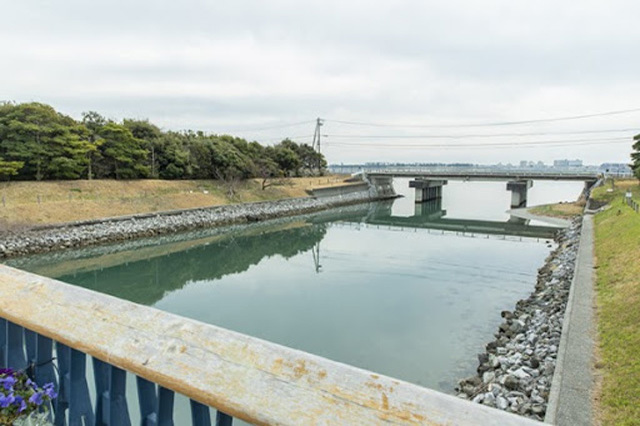 【写真映えスポットもいっぱい】四季折々の花が咲き誇る！浜名湖ガーデンパークを徹底レポート