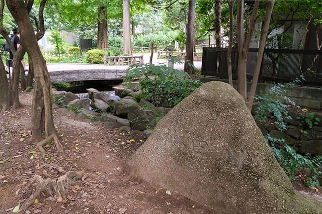 井の頭恩賜公園をぐるり一周散歩！歩いて見つけた注目スポットをご紹介