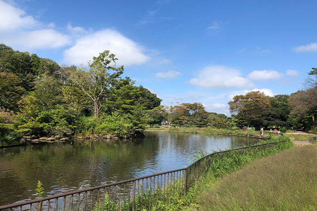 子どもの遊び場の宝庫！こども自然公園の見どころを徹底レポート