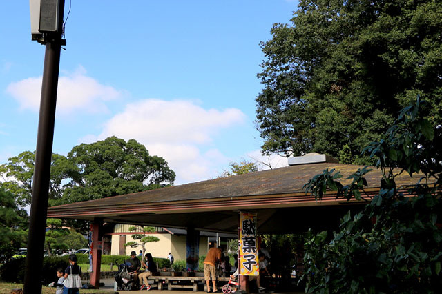 子どもの遊び場の宝庫！こども自然公園の見どころを徹底レポート