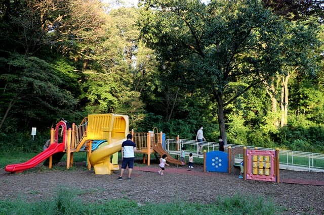 子どもの遊び場の宝庫！こども自然公園の見どころを徹底レポート