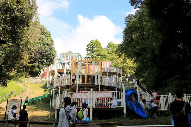 子どもの遊び場の宝庫！こども自然公園の見どころを徹底レポート