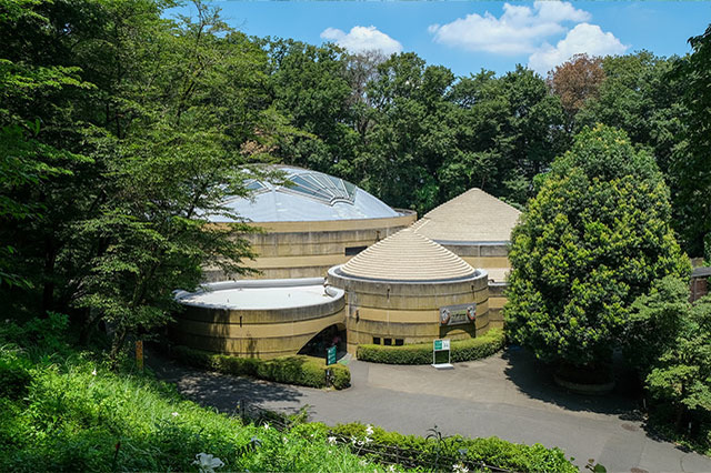 多摩動物公園で会えてよかった15種の動物たち