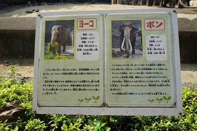 ここでしか見られない希少動物の宝庫！ 横浜「金沢動物園」を徹底解説