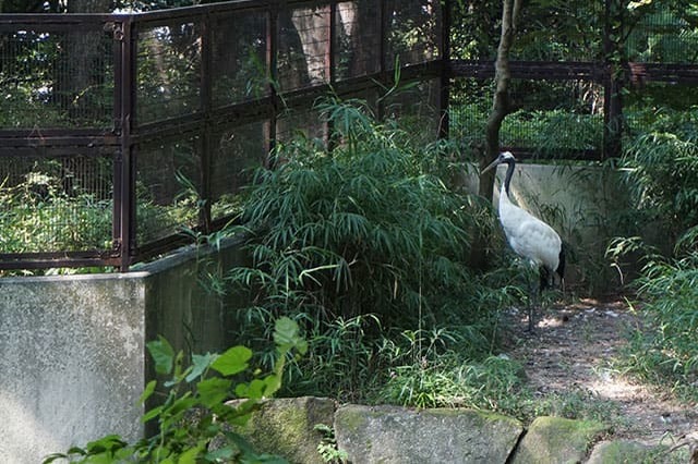 ここでしか見られない希少動物の宝庫！ 横浜「金沢動物園」を徹底解説