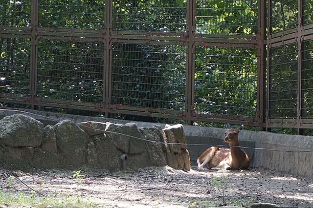 ここでしか見られない希少動物の宝庫！ 横浜「金沢動物園」を徹底解説