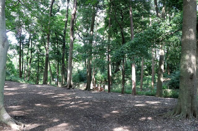 武蔵野の自然が残る石神井公園を散策！石神井池・三宝寺池の周辺見どころを紹介