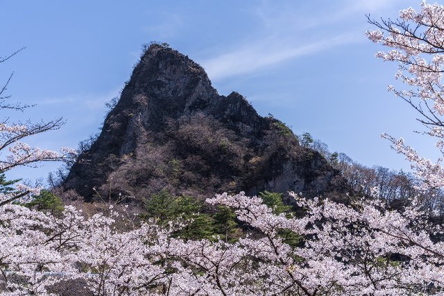 【桜の絶景ハイキング】関東近郊でお花見を楽しめる低山6選【極私的おでかけ百景 #19】