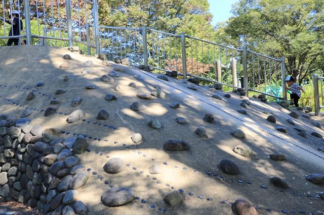 新しい発見に満ちた子どもの聖地！国営昭和記念公園の見どころを徹底レポート