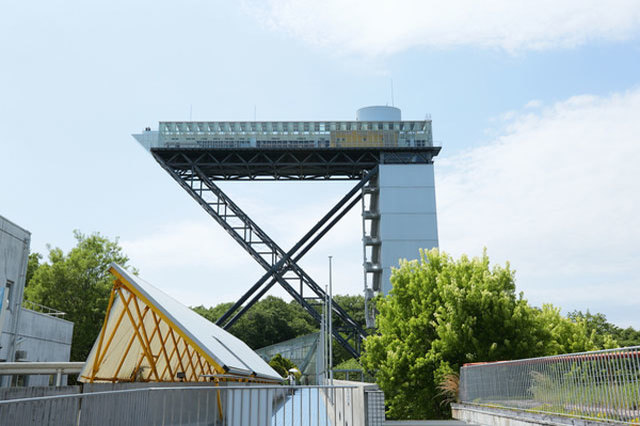 世界最大級のバラ園！花フェスタ記念公園を徹底レポート