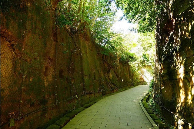 都心から日帰りで行ける無人島！「猿島」で神秘の自然と史跡巡りを堪能しよう