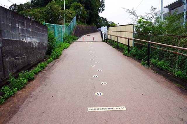 入園料無料が嬉しい！「夢見ヶ崎動物公園」の見どころやアクセス方法を徹底解説