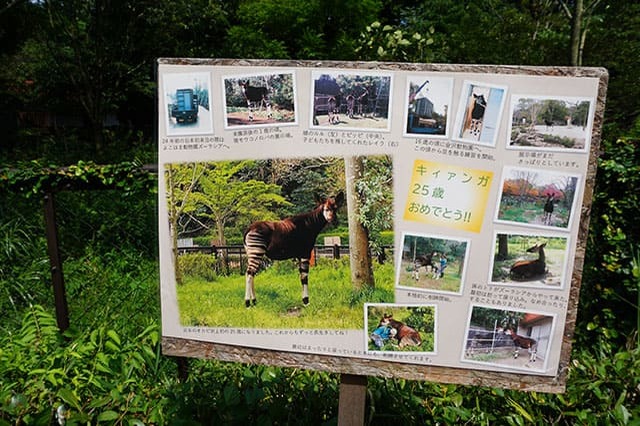 ここでしか見られない希少動物の宝庫！ 横浜「金沢動物園」を徹底解説